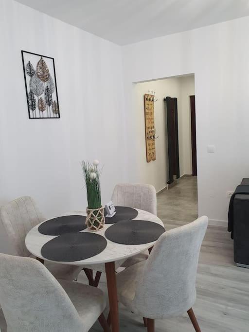 Apartament Ama Sibiu Exteriér fotografie