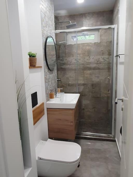 Apartament Ama Sibiu Exteriér fotografie