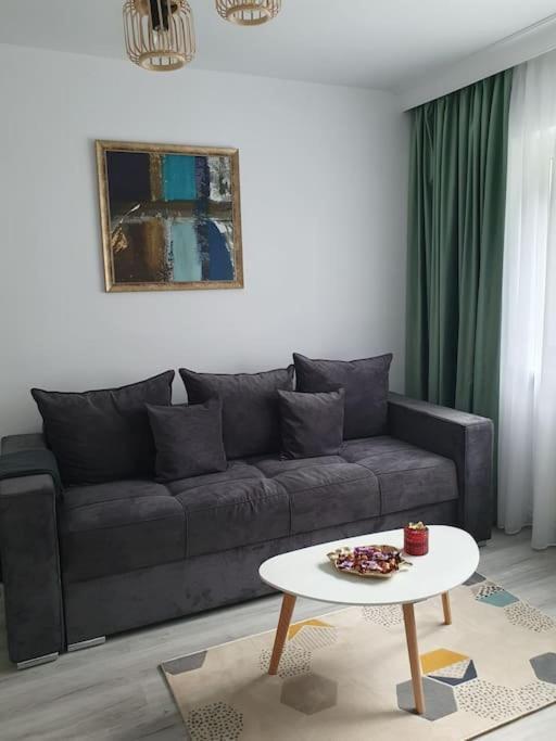 Apartament Ama Sibiu Exteriér fotografie
