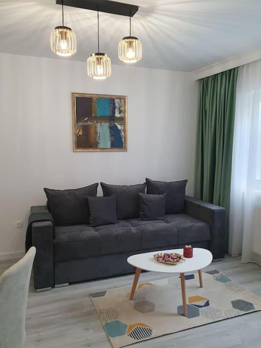 Apartament Ama Sibiu Exteriér fotografie