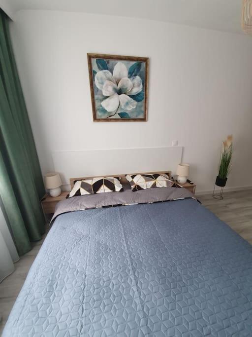 Apartament Ama Sibiu Exteriér fotografie